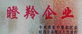 中科啟航擬認(rèn)定為2021年咸陽市瞪羚企業(yè)